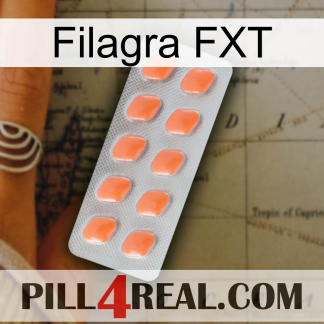 Filagra FXT 26